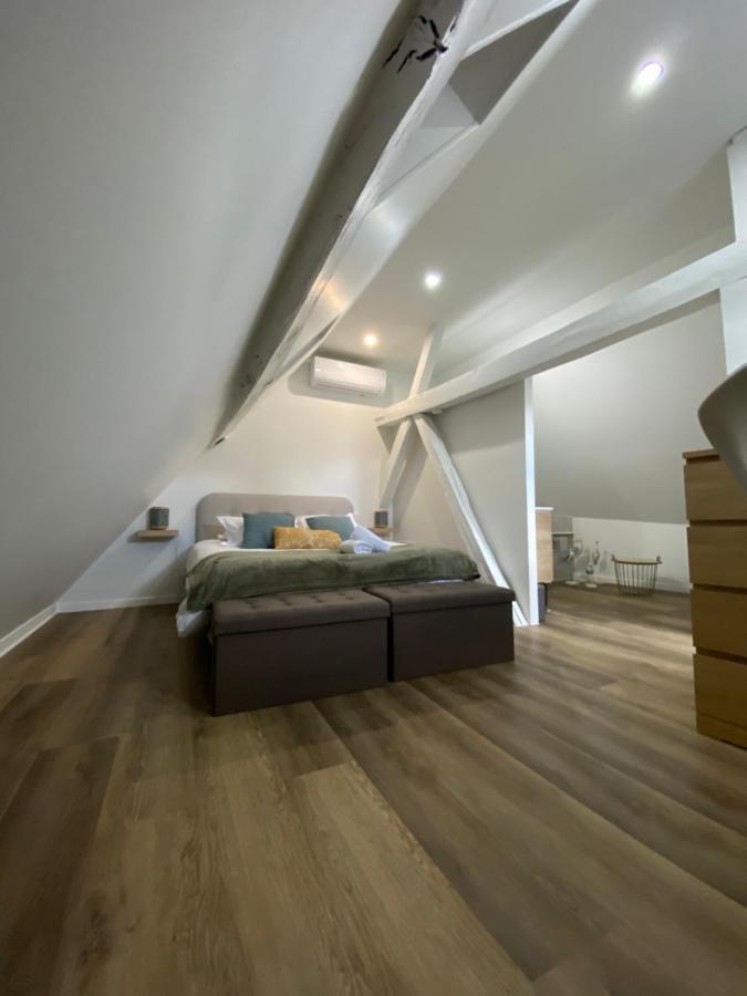 Comfortable Air-Conditioned T3 In The Heart Of Amboise With Parking Space Exterior foto